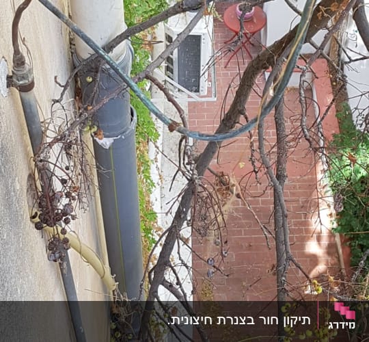 צינור ביוב חיצוני עם צמחייה יבשה מסביב